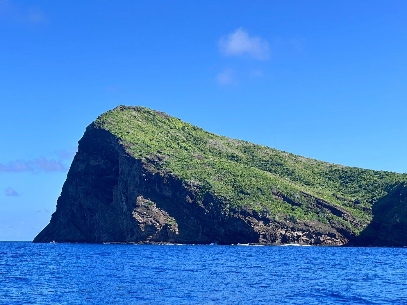 北三島雙體船出海體驗(含 BBQ 午餐) - Image 2