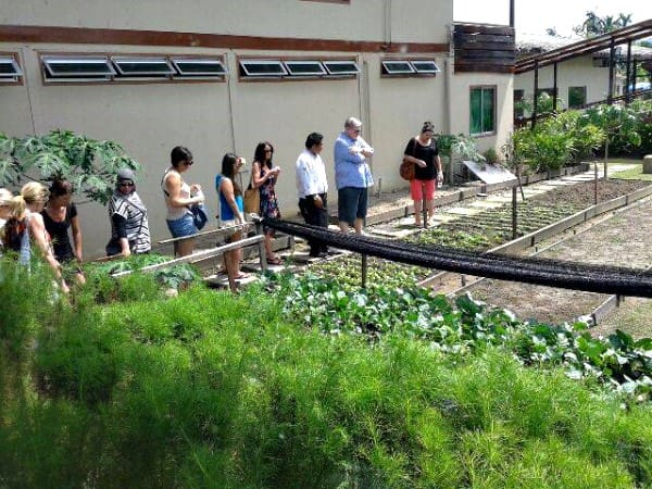 ethnic-cooking-class-2