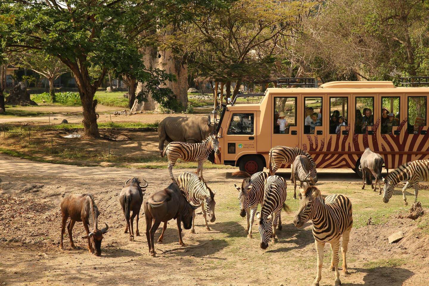 巴里島 親子動物園