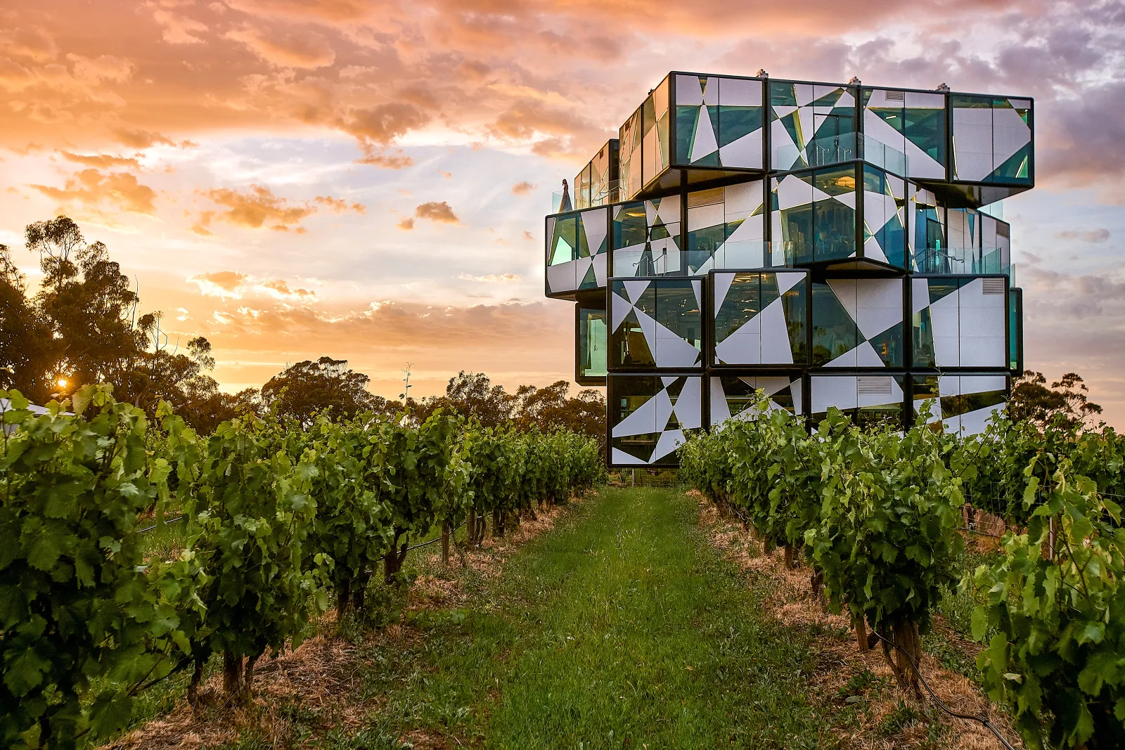 麥拉倫谷 d’Arenberg Cube 玻璃屋酒莊午宴
