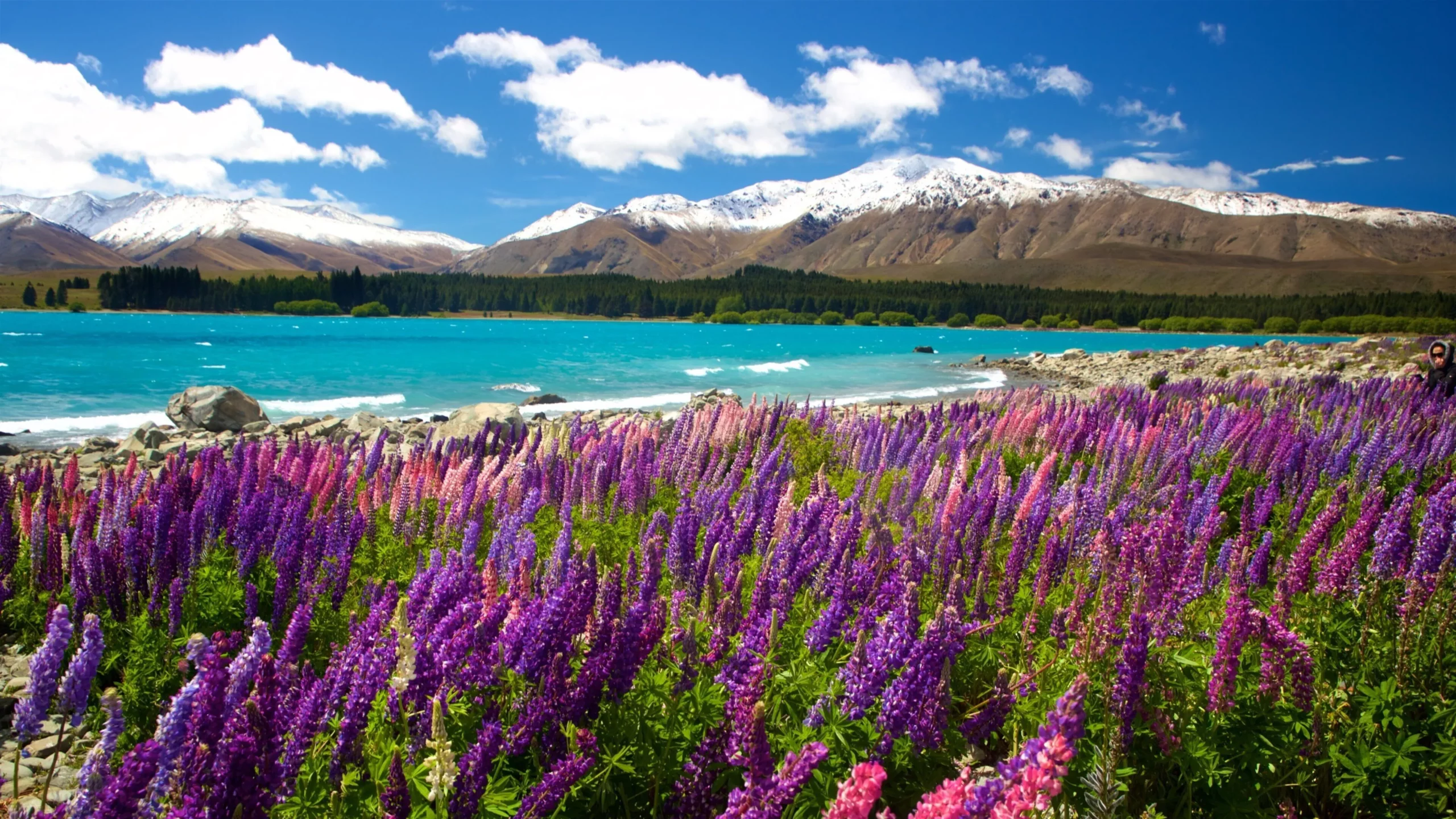 蒂卡波湖景色